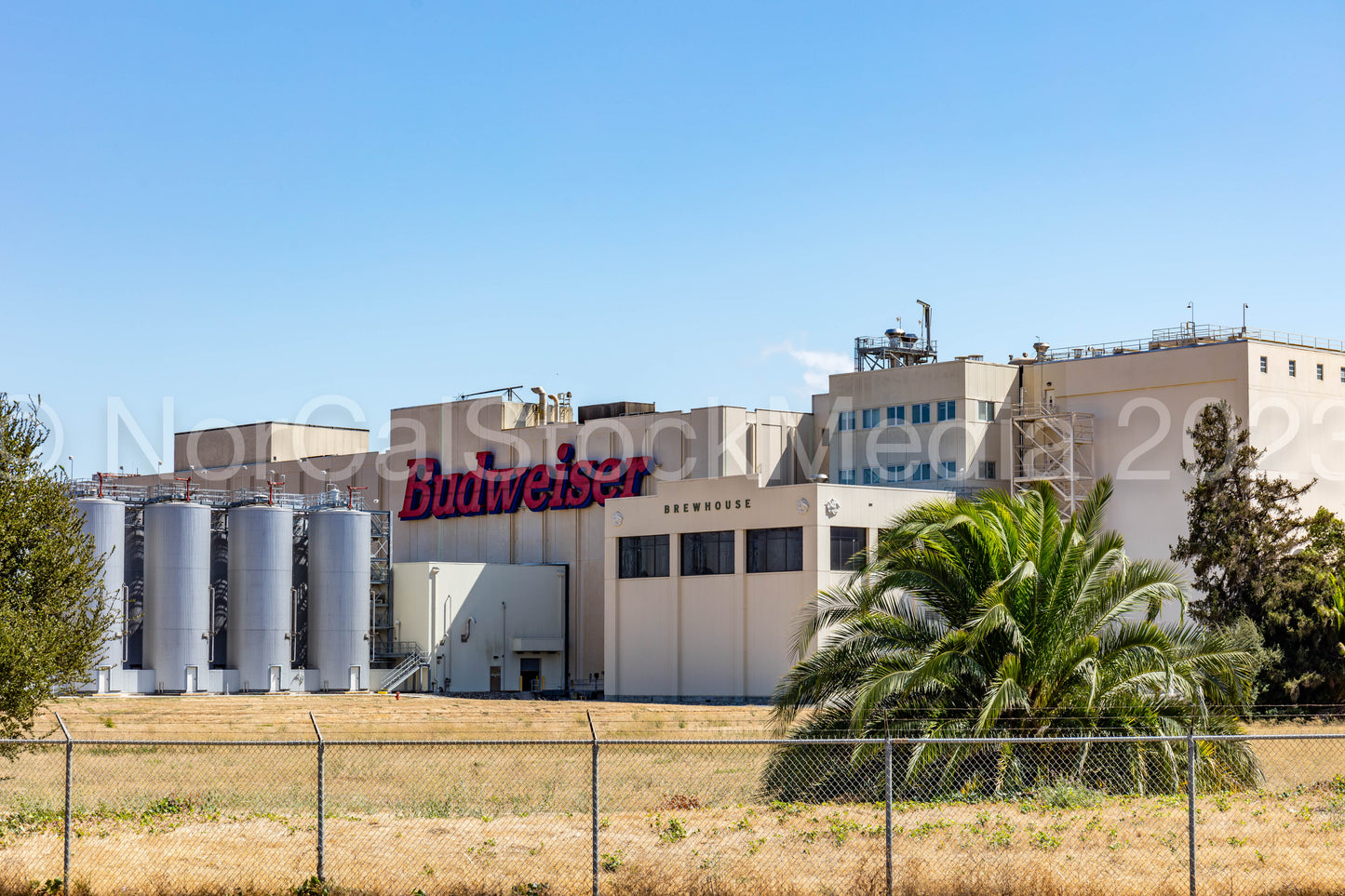 Budweiser Factory 007