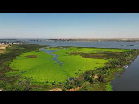 Oakley Reel Clip 007 (Big Break Regional Shoreline II)